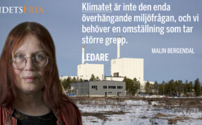 Malin Bergendal  med citat